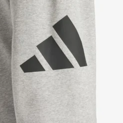 adidas Essentials Big Logo French Terry Herren Hosen