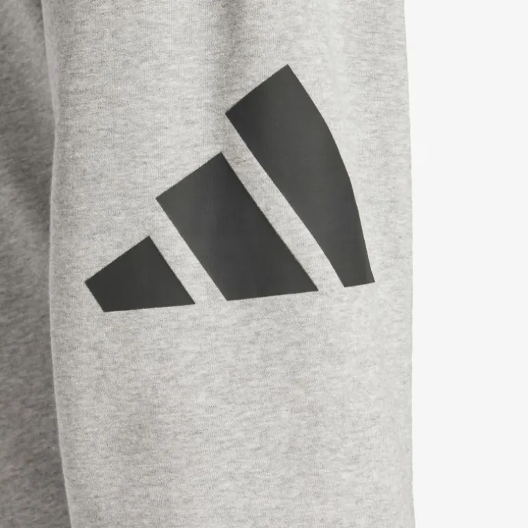 adidas Essentials Big Logo French Terry Herren Hosen