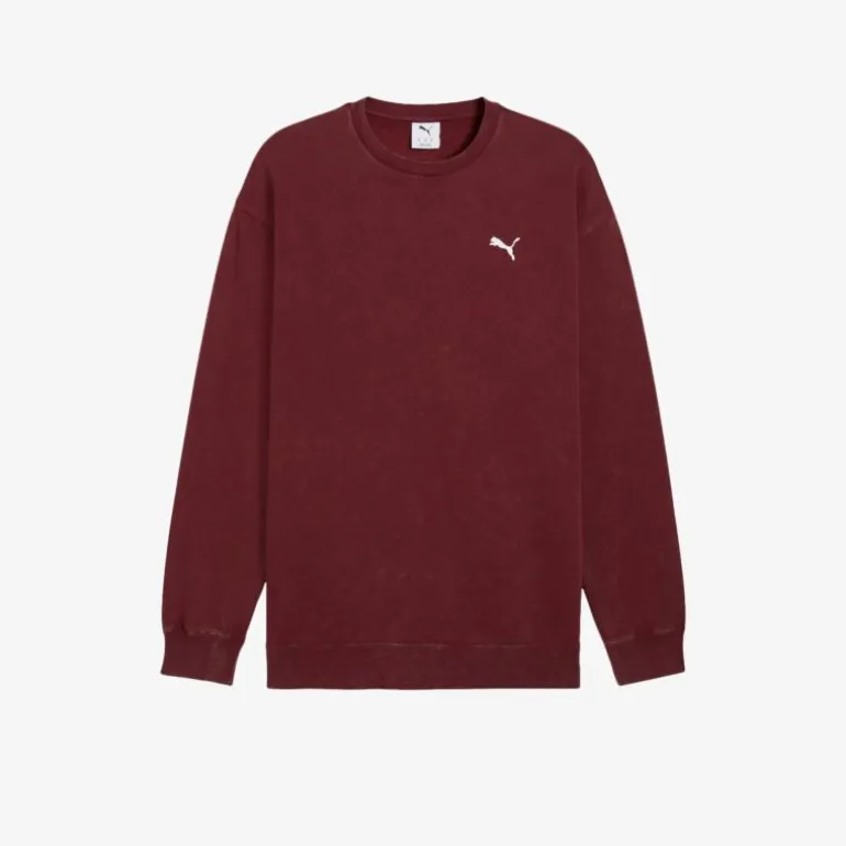 PUMA ESS ELEVATED Relaxed Herren Hoodies & Sweater